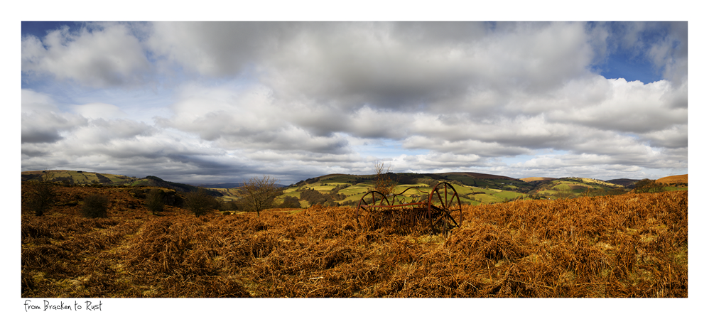 images from wales - Ian Nicholson Photography - Builth Wells